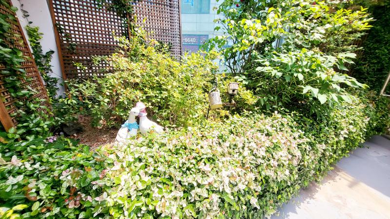 235149625_3iawA5jO_543c9026ed9eb00e2ec3ccd9e11dea25dad06607.jpg 이미지크게보기