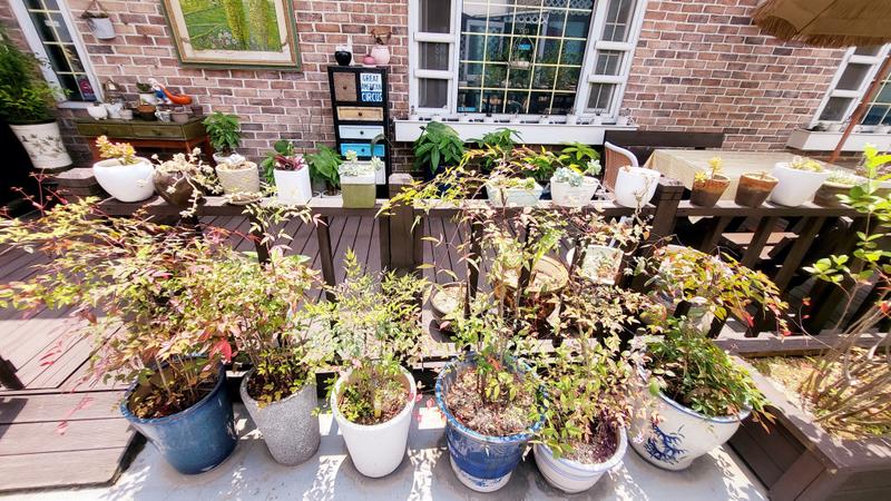 235149625_9fQGwrqk_bc5f0e24919bce08a62a454bdd5405375f0eb534.jpg 이미지크게보기