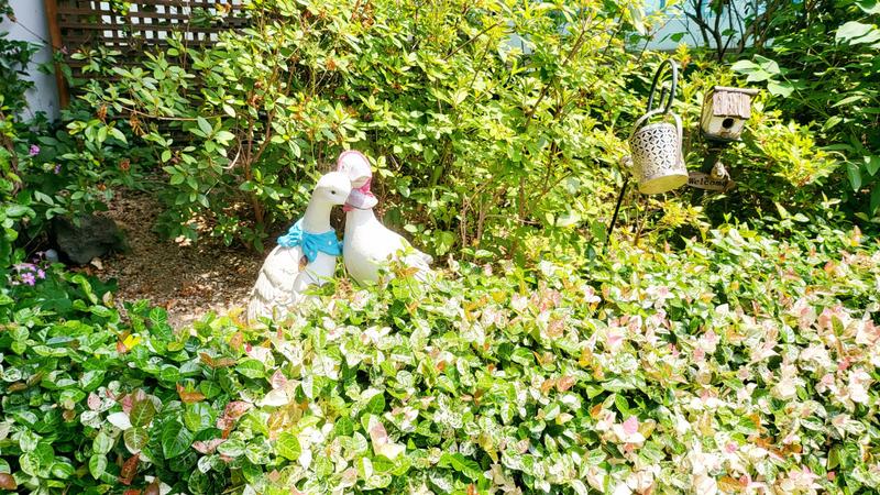 235149625_JifjsItB_879dda278356a35b40871b3203ce11bcf4040a7a.jpg 이미지크게보기